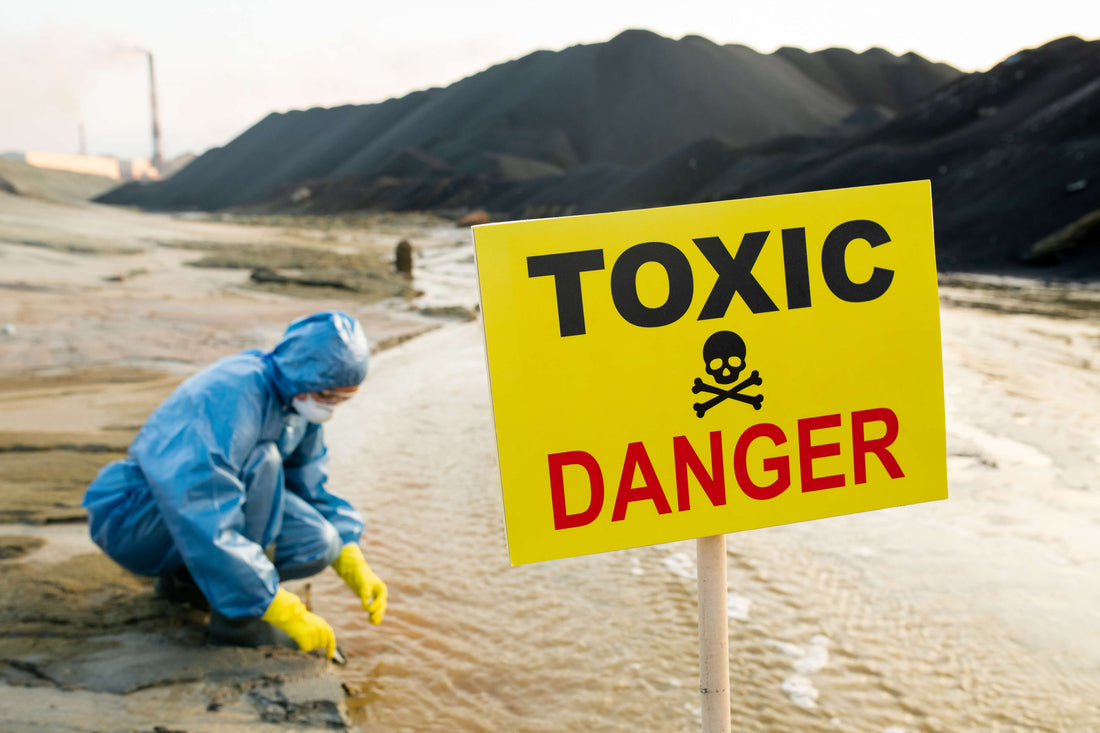 Environmental Toxins and Mental Health